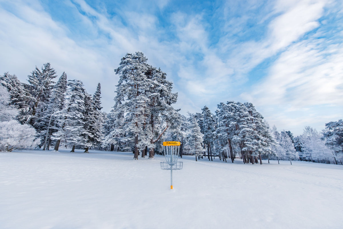 Pro Target - 6 stycken - Tävlingskorg - Korg för discgolfbana