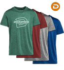 Discexpress Funktions T-shirt för discgolf (Herr)