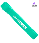 Motståndsband (16-39 kg)