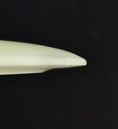 Tern Champion Proto Glow